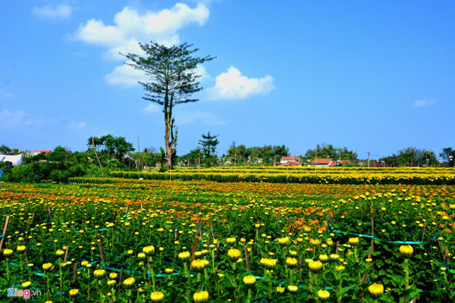 lang-hoa-tet-mien-trung