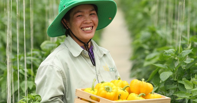 wineco-mang-nong-nghiep-ben-vung-cai-thien-doi-song-dia-phuong