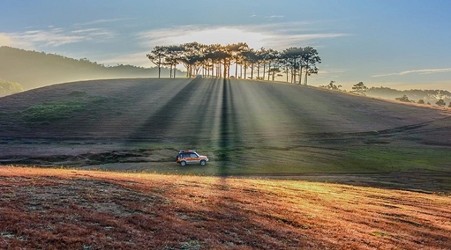 da-lat-lai-mo-mang-trong-mua-co-hong-sau-mua