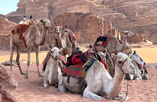 tour-tram-trieu-tam-dung-hang-xuat-khau-ket-vi-chien-su