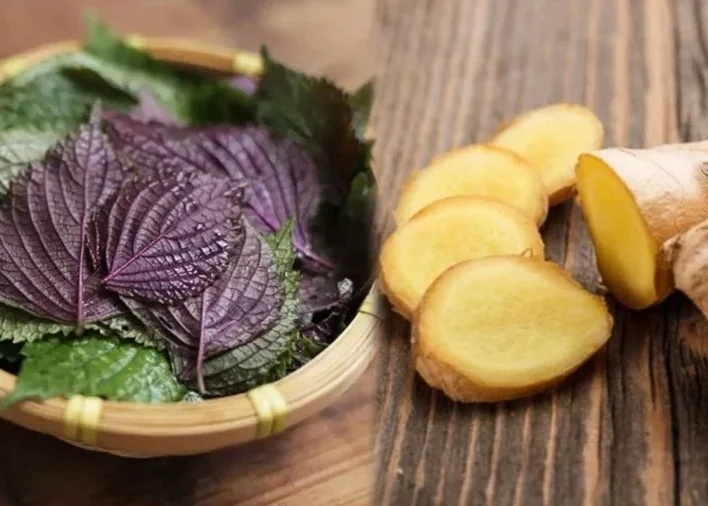 dieu-gi-xay-ra-voi-co-the-neu-uong-nuoc-gung-nau-voi-la-tia-to