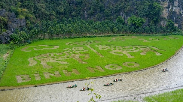 ninh-binh-moi-goi-du-khach-ve-ngam-mua-vang-tam-coc