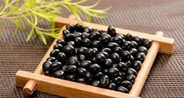 loai-hat-re-beo-nay-cuc-tot-cho-quy-ong-an-hang-ngay-de-gat-hai-5-loi-ich