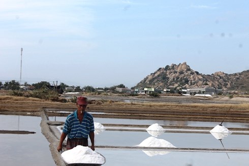diem-dan-ninh-thuan-vhdn