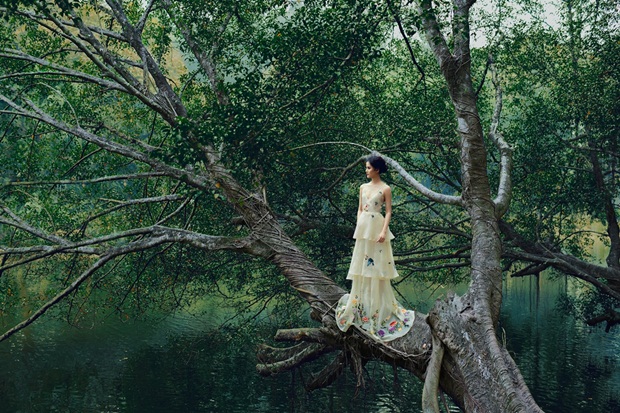 10-huong-ly-vhdn