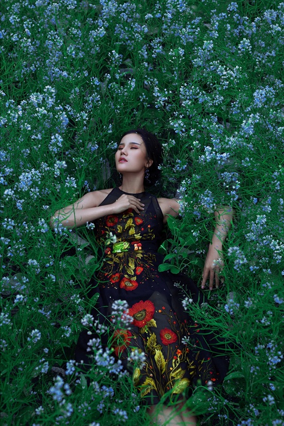 11-huong-ly-vhdn
