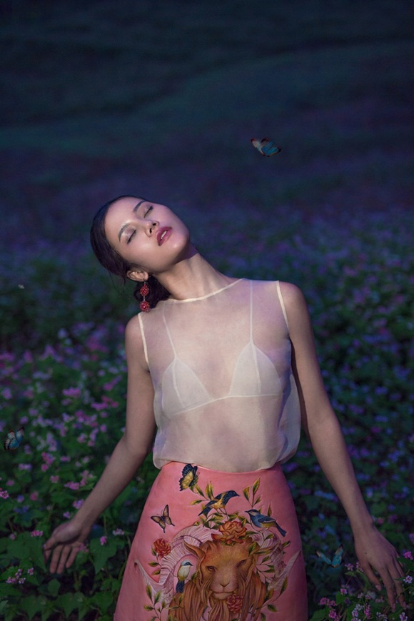 13-huong-ly-vhdn