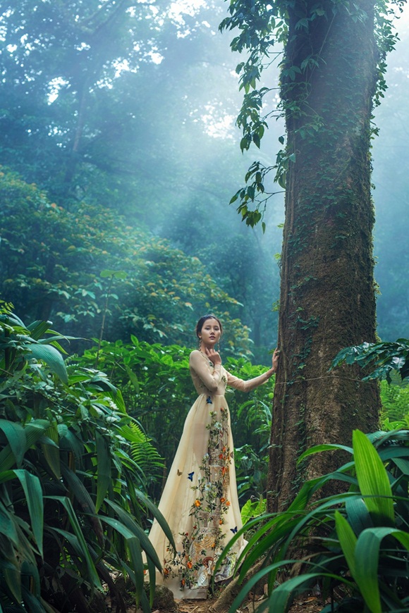 3-huong-ly-vhdn