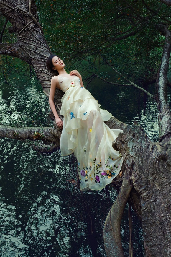 9-huong-ly-vhdn