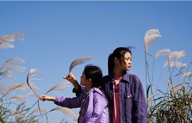 phim-tan-hoa-lien-hoan-phim-viet-han-vanhoadoanhnhan