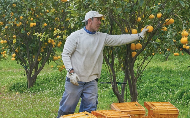 Aventus-Creed-24-2-3