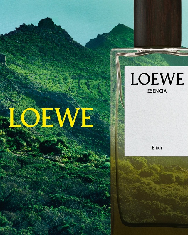 LOEWE-11-58
