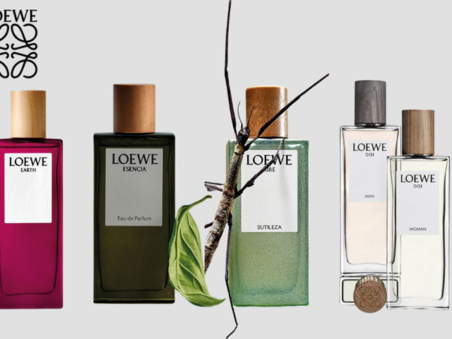 Loewe-1-12-3
