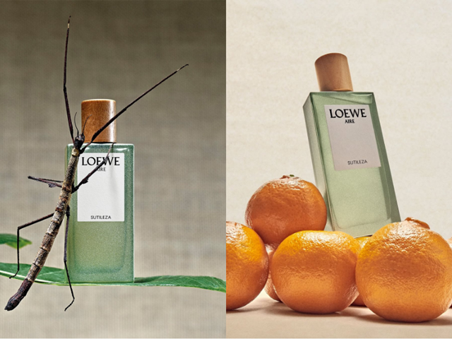 Loewe-Sutileza-3-12-4