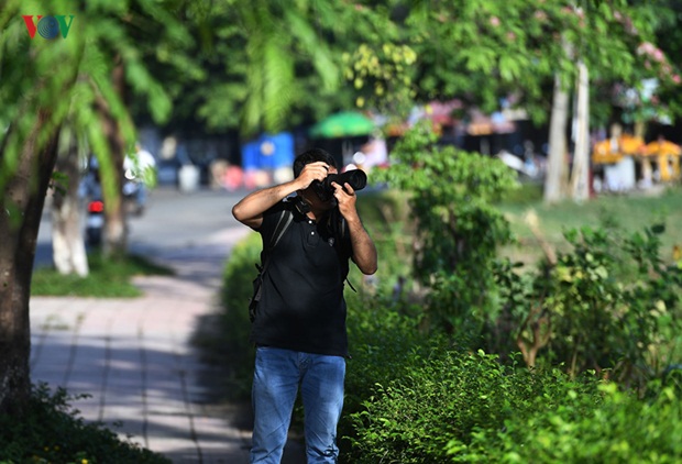 sac-hoa-hue-12
