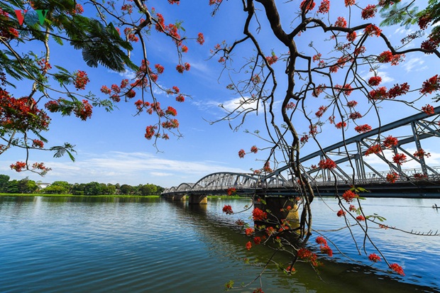 sac-hoa-hue-18
