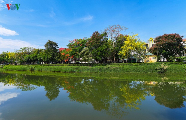 sac-hoa-hue-19