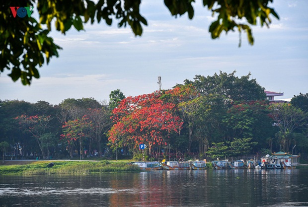 sac-hoa-hue-2