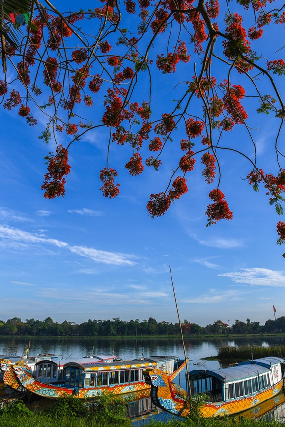 sac-hoa-hue-6