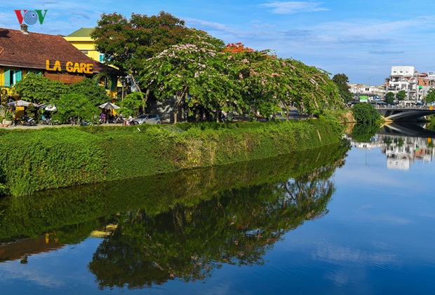 sac-hoa-hue-8
