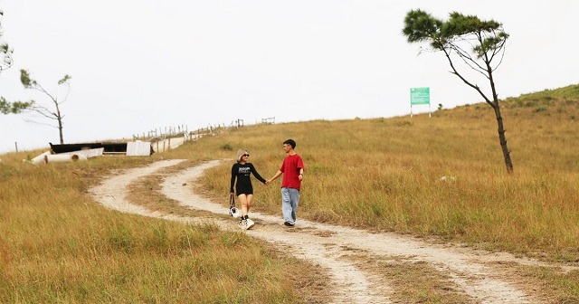 Ngắm đồi Phượng Hoàng ở Quảng Ninh vào mùa nhuộm vàng đất trời