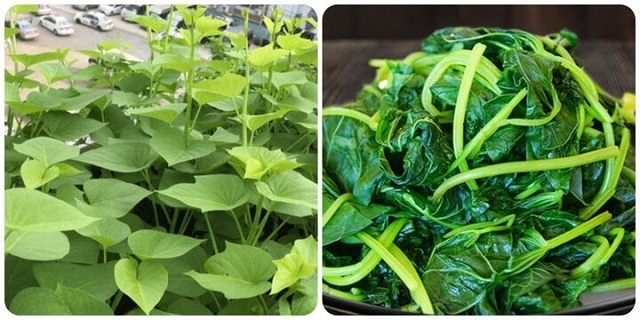 loai-rau-dan-da-ban-day-cho-viet-chua-chat-ngua-ung-thu-tot-nhu-than-duoc