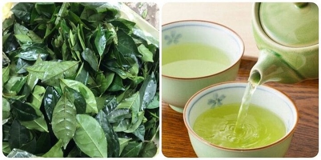 nuoc-che-xanh-cuc-tot-nhung-khi-uong-phai-nho-10-dieu-sau
