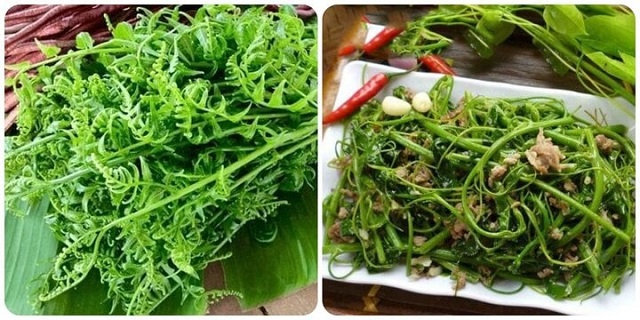 loai-rau-duoc-menh-danh-la-vua-cac-loai-rau-cuc-tot-cho-suc-khoe