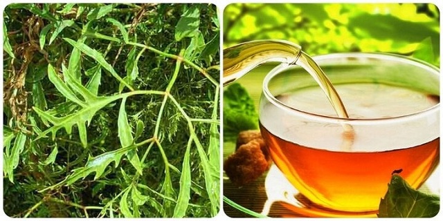 nuoc-dinh-lang-rat-tot-nhung-dai-ky-voi-nhung-nhom-nguoi-nay