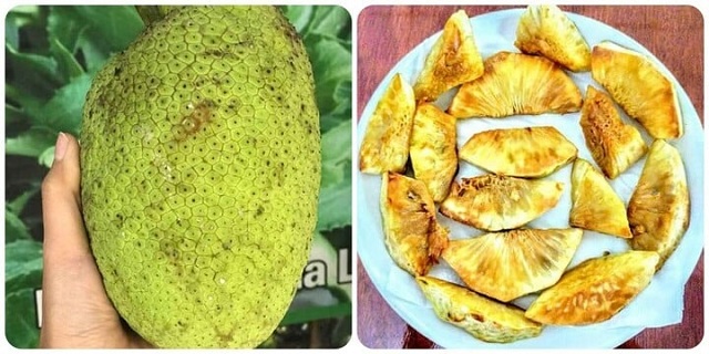 loai-qua-dan-da-nhung-bo-ngang-nhan-sam-to-yen-co-nhieu-o-viet-nam
