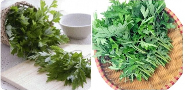 ngai-cuu-cuc-tot-nhung-3-kieu-nguoi-tuyet-doi-khong-an