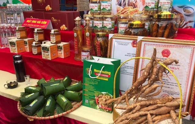 bac-giang-phat-huy-the-manh-tu-kinh-te-tap-the
