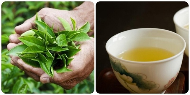 uong-nuoc-che-xanh-hang-ngay-trong-2-tuan-co-tac-dung-gi