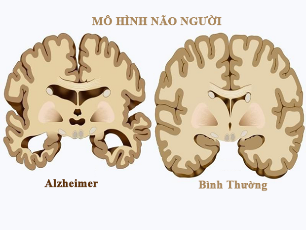 dep-khong-gioi-han-t94-vanhoadoanhnhan-4