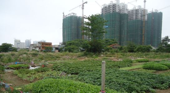 1-du-an-thanh-pho-ho-chi-minh