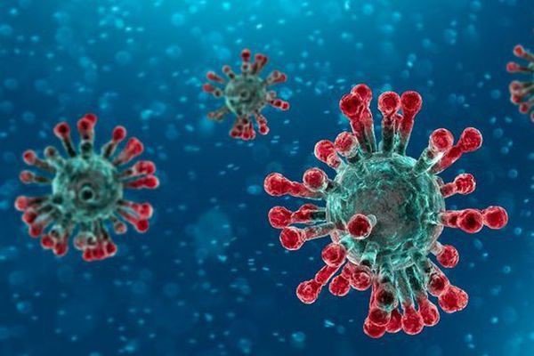 phong-ngua-virus-corona-theo-khuyen-cao-cua-who-va-bo-y-te