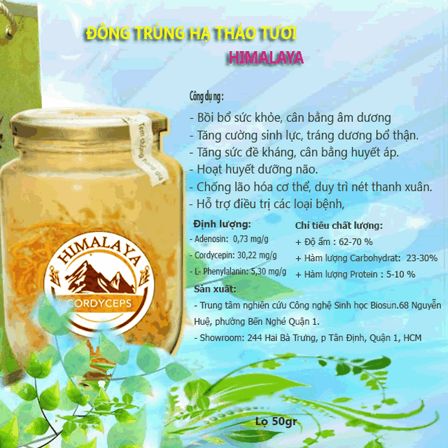 dongtrunghathaotuoihimmalya.13