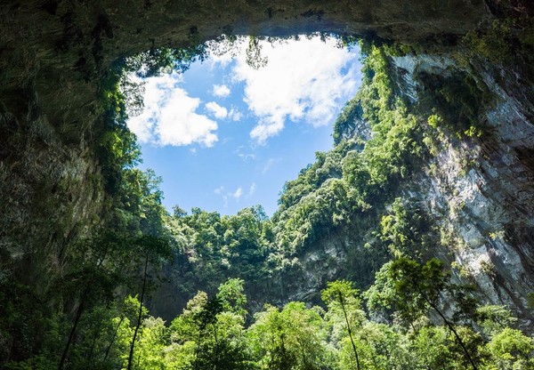 1-son-doong-van-hoa-doanh-nhan