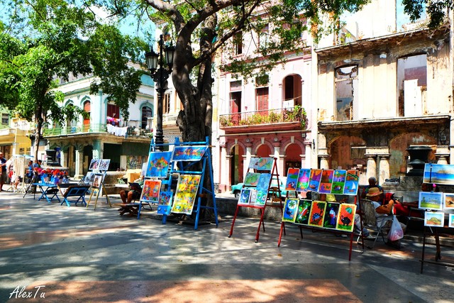 havana-cuba--dai-lua-dao-bay-