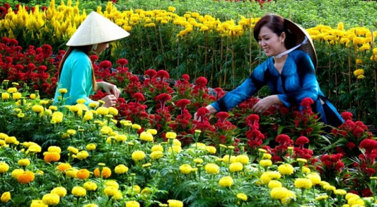 lang-hoa-sa-dec
