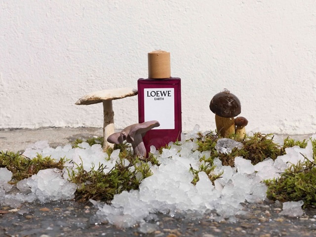 loewe-earth-20-6-1